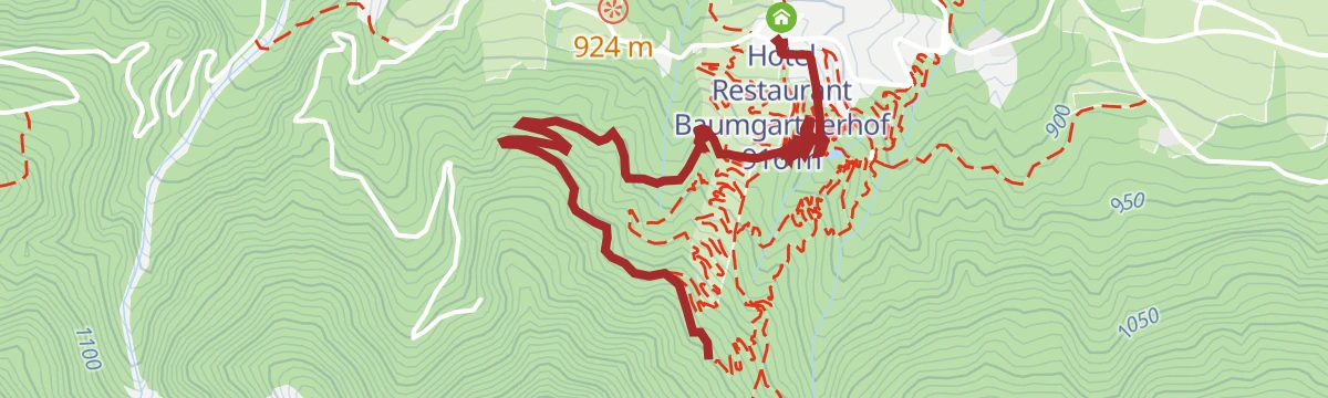 Route map: Transfer Baumgartnerhof - Start Ffargartner Trail